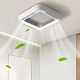 Image of Roboraty  ceiling fan