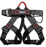 Image of ZYNTM  climbing harness