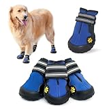 Image of Hcpet Blue pair of dog boots