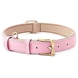 Image of blu&ben  dog collar