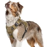 Image of rabbitgoo DXZSGBD01MBN21CW dog harness