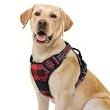 Image of rabbitgoo DTCW015-L dog harness