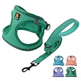 Image of BELLA & PAL BPH004 dog harness