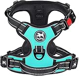 Image of PoyPet AU122020 dog harness