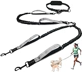 Image of KIKNIN SLYDleash dog leash