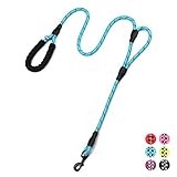 Image of PLUTUS PET LEASH-005-004 dog leash