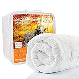 Image of Woolcomfort JAPARA-WQ-500G-Q duvet