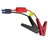 Image of LOTUS POWER USAGECABLE04 jumper cable