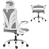 Image of HOLLUDLE Folder2-GR office chair