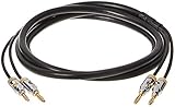 Image of AmazonBasics CLSW2-M-M-6FT-1P speaker cable