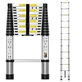 Image of Generic 1 telescopic ladder