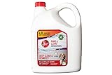 Image of Hoover FPCABCS4L22D upholstery cleaner