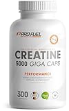 Bild von ProFuel CRMO300CPS Creatine