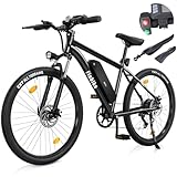 Bild von Finbike M10 E-Bike