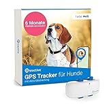 Bild von Tractive TRNJAWHSUB6MP GPS Tracker für Hunde