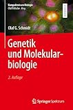 Bild von Springer Spektrum  Molekularbiologie Buch