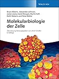 Bild von Wiley 47116152 Molekularbiologie Buch