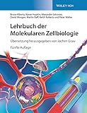 Bild von Wiley  Molekularbiologie Buch