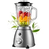 Bild von Steinborg 7010 Smoothie Maker