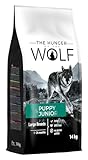 Bild von The Hunger of the Wolf 500004 Welpenfutter