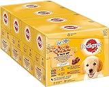 Bild von PEDIGREE 371710 Welpenfutter