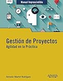 imagen de ANAYA MULTIMEDIA  libro de gestión de proyectos