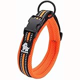 Image de TRUE LOVE TLC5011 collier pour chien