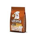 Image de ultima 962876 croquette pour chien