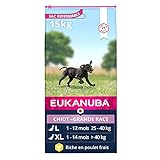 Image de Eukanuba T81601787 croquette pour chiot