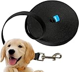 Image de Edipets EDI-C004-N-15 laisse pour chien