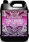 Image de Dirtbusters DB-000101 shampouineuse