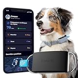 Image de Invoxia LWT6_Dog traceur GPS pour chien