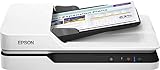 immagine di Epson B11B239401 scanner piano