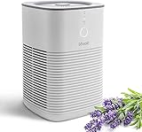 Image of Levoit LV-H128 air purifier