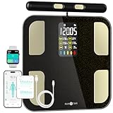 Image of runstar F2001 body-fat scale