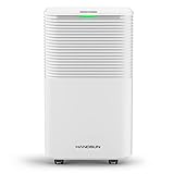 Image of HANGSUN DL12 dehumidifier