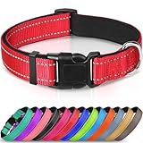 Image of Joytale DC0610516 dog collar