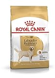 Image of ROYAL CANIN 02RCL dog food