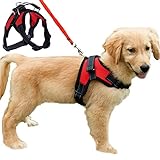 Image of FUNKEEN PET HOUSE . dog harness