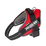 Image of Julius-K9 20PA-R-M-AMZ dog harness