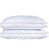 Image of puredown PD-16020-S/Q pillow