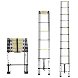 Image of MULTIBAO  telescopic ladder